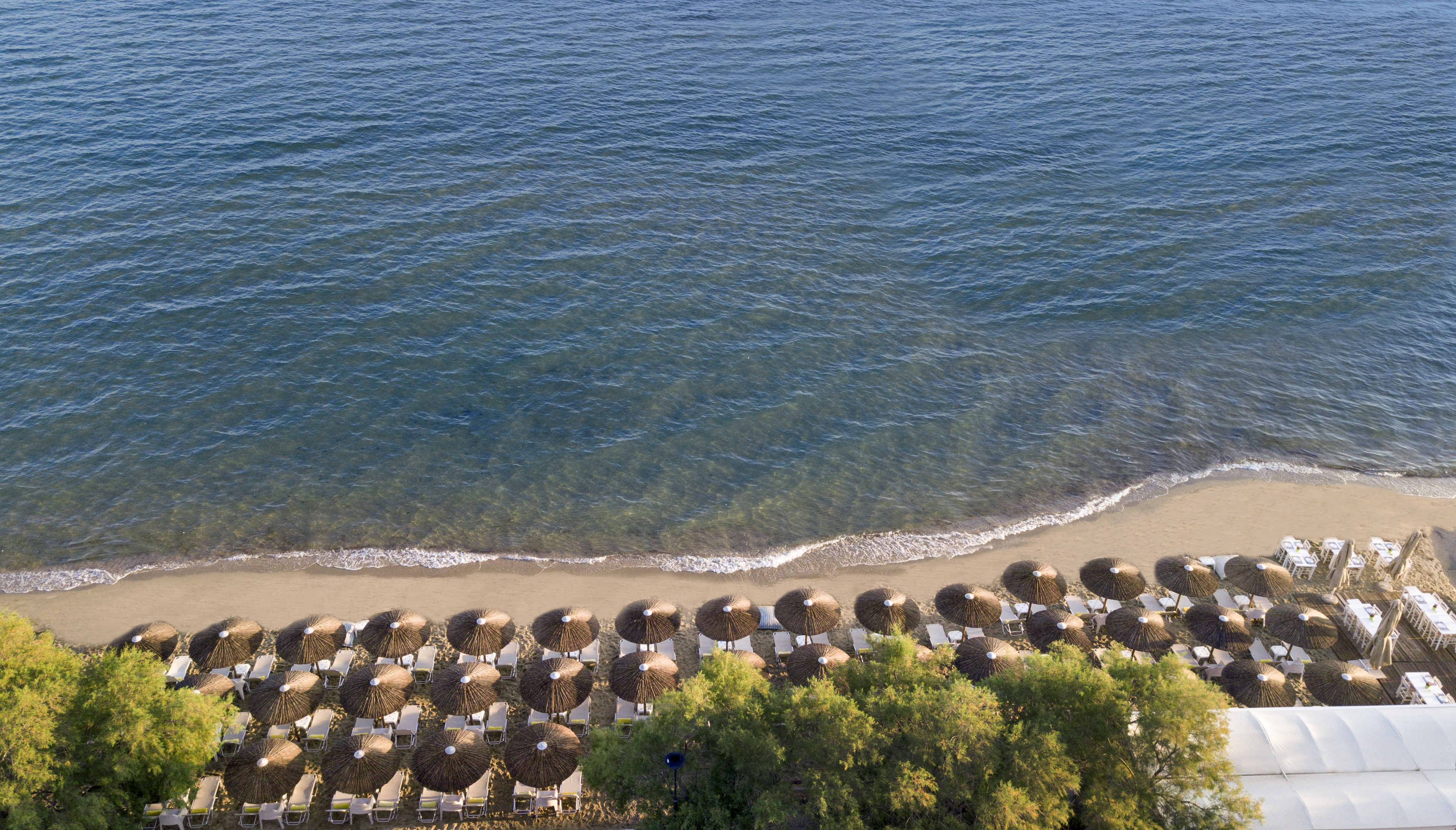 Beachfront loungers and sea